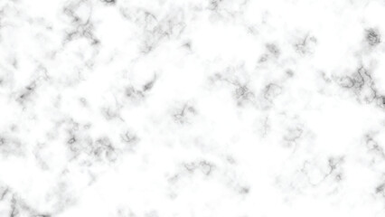 White Marble Background with Light Gray Veins Texture