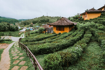 The Nature City Of North(Ban Ruk Thai)Mae Hong Son, Thailand.