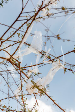 Plastic Pollution
