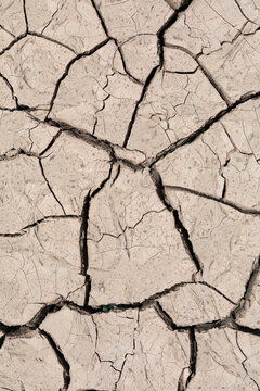 Cracked Dry Soil Texture
