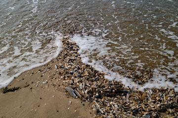 Am Strand von Blavand in Dänemark