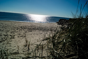 Am Strand von Blavand in Dänemark