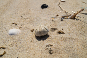 Am Strand von Blavand in Dänemark