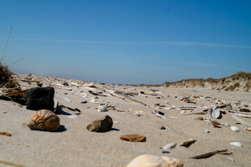 Am Strand von Blavand in Dänemark