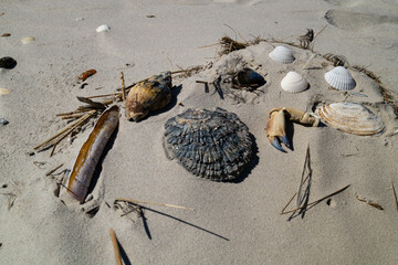 Am Strand von Blavand in Dänemark
