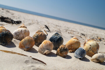 Am Strand von Blavand in Dänemark