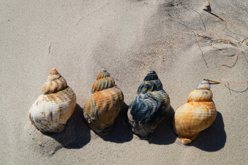 Am Strand von Blavand in Dänemark