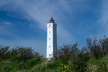 Am Strand von Blavand in D&auml;nemark
