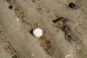 Am Strand von Blavand in Dänemark