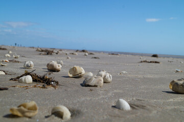 Am Strand von Blavand in Dänemark