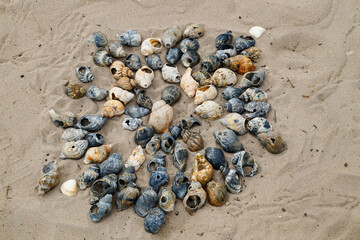 Am Strand von Blavand in Dänemark