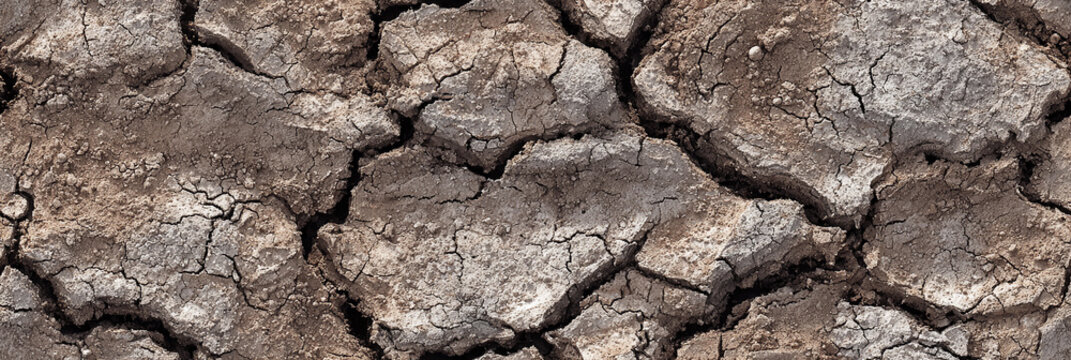 Unique seamless pattern of cracked dry earth texture
