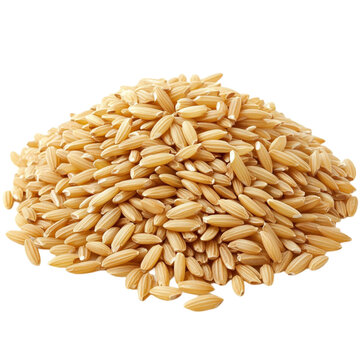 A pile of unmilled rice grains golden brown in color ready for consumption or processing