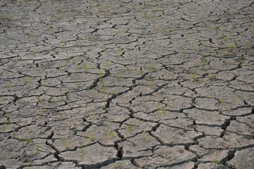 cracked, dry earth, indicative of a drought or severe lack of water