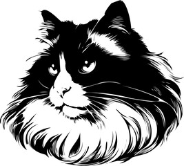 SVG Persian cat black and white vector file for printing, cutting
