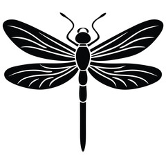 dragonfly isolated on white background