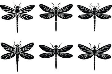 Fototapeta premium Vector butterfly collection with floral elements for nature-inspired decoration and spring design
