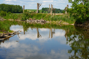 The Amper River near Ampermoching in spring. River landscape with capped trees on the riverbank in...