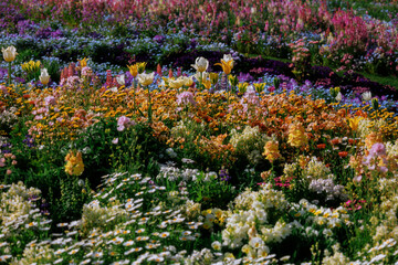 A Riot of Colors:A colorful tapestry of the spring garden.