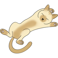 Picture of a brown cat lying on its back looking happy.