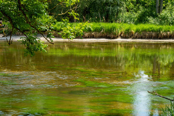 The Amper River near Ampermoching in Bavaria (Germany) in spring. Flowing water with green algae (Cladophora) in it.