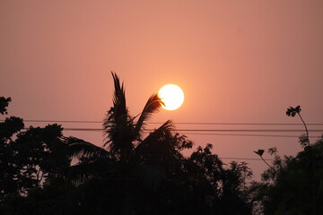 A sunset with silhouettes of palm trees against a reddish-orange sky 