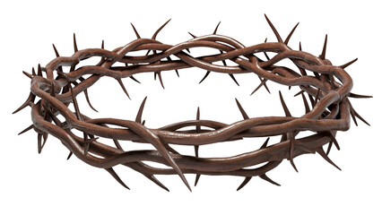 Fototapeta premium transparent crown of thorns 