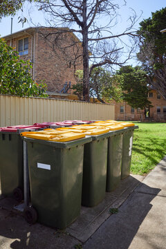 Row of Green Waste Bins with Residential Buildings