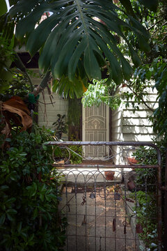 Residential Entrance with Metal Gate and Greenery in Fitzroy