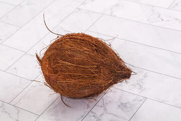 Tropical exotic brown haired coconut