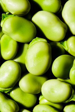raw fava beans