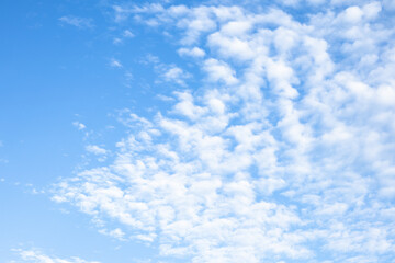 Blue Sky with White Fluffy Clouds