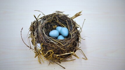 A natural brown bird nest, crafted from dry straw and grass, holds several white eggs, an isolated spring home for a bird's future family