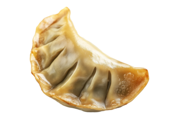 Steamed dumpling mandu with glossy surface and pleated edge isolated on white transparent background, concept of traditional Asian food