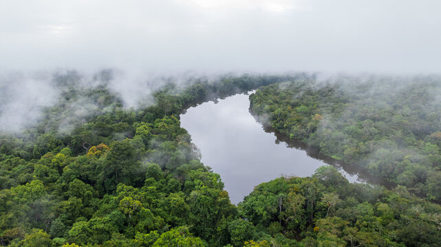 AERIAL VIEW OF FLOODED FORESTS IN THE PERUVIAN AMAZON RAINFOREST, AERIAL DRONE PHOTOGRAPHY OF THE NANAY RIVER AND THE FLOODED FORESTS OR IGAPOS