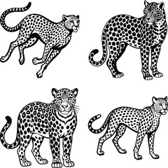  African Animal Silhouettes
set of lion cub silhouette vector on white background

