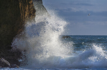 Atlantic Portugal rugged coastline waves crashing against dramatic sea cliffs ocean spray soaring seagulls wild nature adventure travel photography ocean power coastal landscape beauty awe