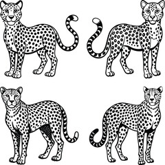  African Animal Silhouettes
set of lion cub silhouette vector on white background
