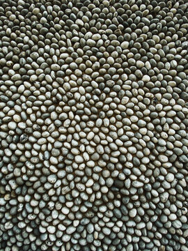 A textured surface made of randomly arranged pebbles