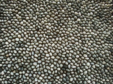 A textured surface made of multiple rows of pebbles