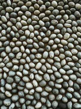 Large pebbles arranged to provide a decorative surface