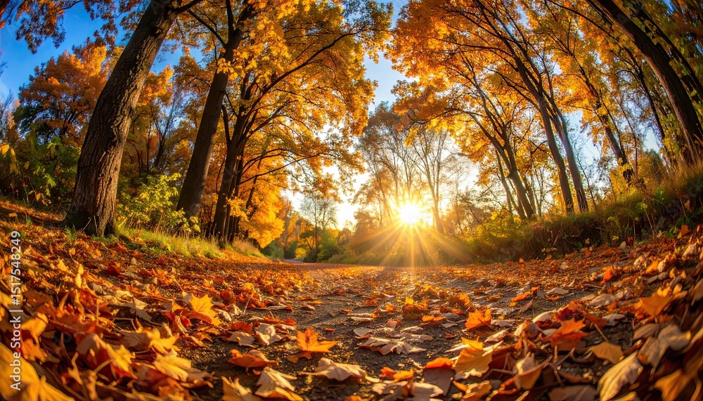 Aufkleber sunlight streaming through colorful autumn trees with fallen leaves on a pathway creating a serene l