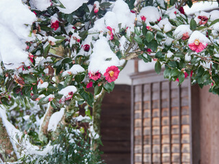 観光名所中山道の馬籠宿の古い町並みの雪景色 © zheng qiang