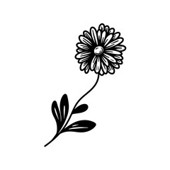 Father's Day Special