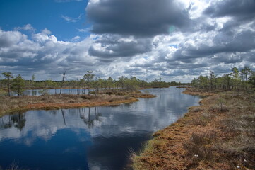 Scenic view of the pool in Latvia swamp