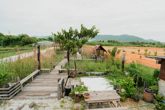 rustic wooden bridge spans a serene pond filled with lily pads, framed by lush greenery and distant mountains under a clear blue sky