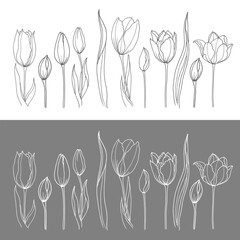 Silhouettes of tulips. Contrasting image of tulips on white and grey background. Cute ornament for wallpaper, fabric, card.