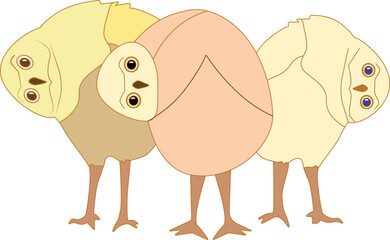 Whimsical Trio of Stylized Owls Bending Their Heads in Curiosity – Vector Illustration