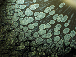 Textured background of microscopic glaze of Chinese ceramics tea cup
