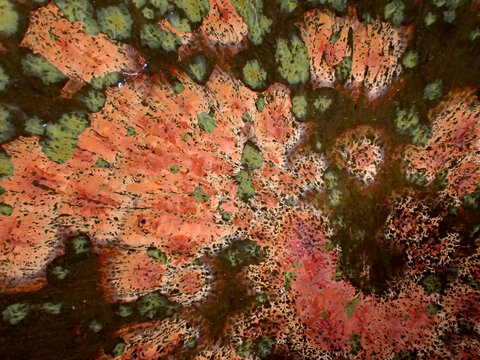 Textured background of microscopic glaze of Chinese ceramics tea cup
